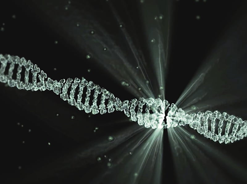 CRISPR Gene Editing